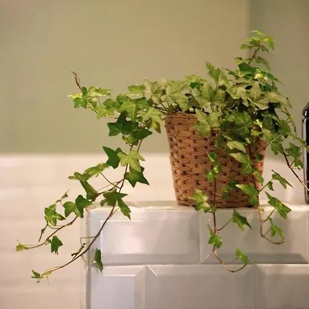 Apartamento Rossopetruzzelli La Vista Bella Della *